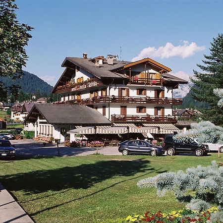 Hotel Stella Alpina Falcade Dış mekan fotoğraf