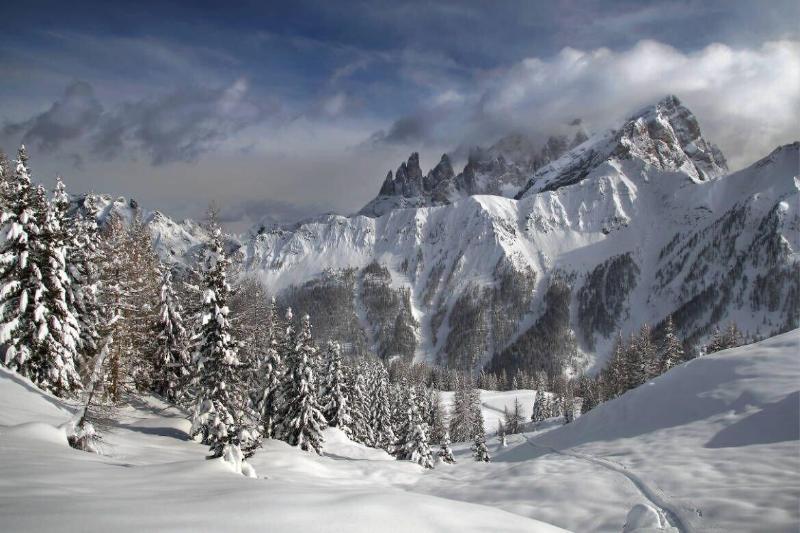 Hotel Stella Alpina Falcade Dış mekan fotoğraf