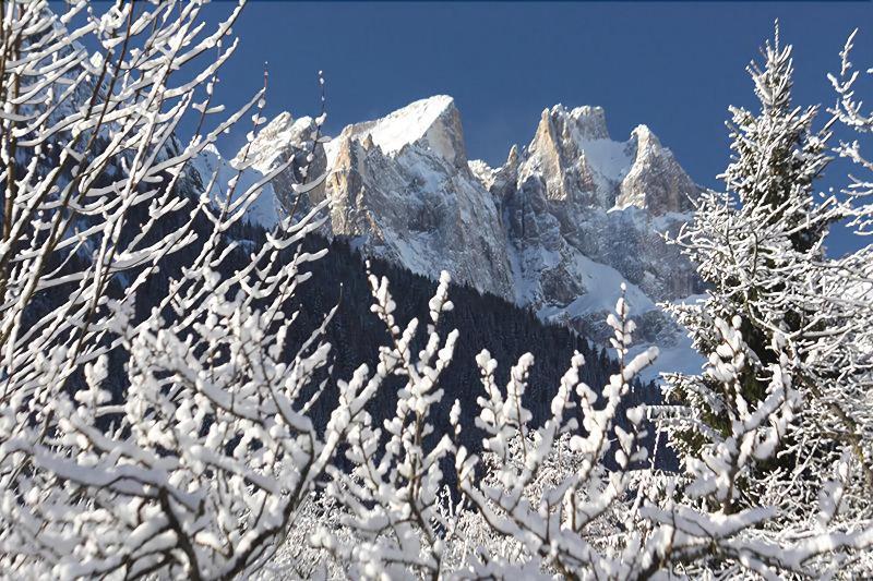 Hotel Stella Alpina Falcade Dış mekan fotoğraf