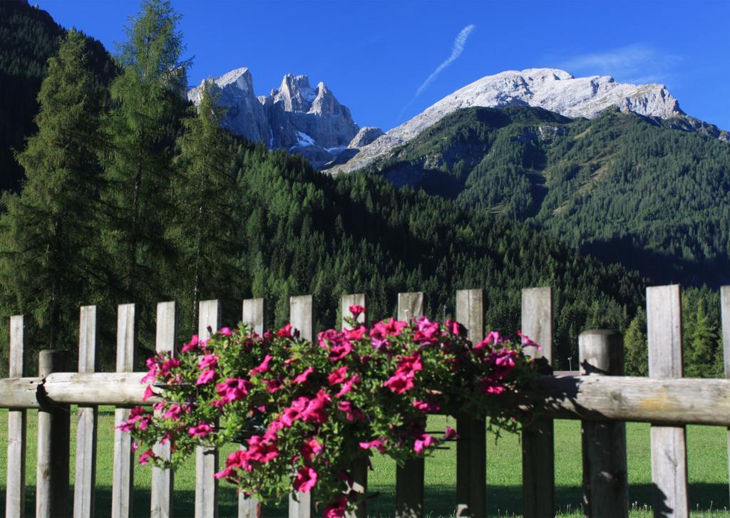 Hotel Stella Alpina Falcade Dış mekan fotoğraf