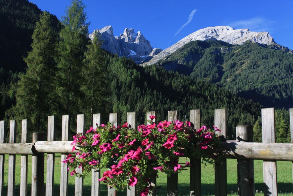 Hotel Stella Alpina Falcade Dış mekan fotoğraf