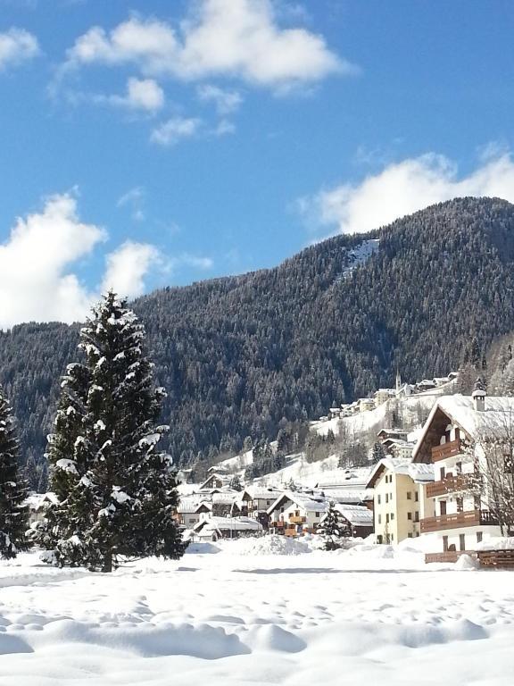 Hotel Stella Alpina Falcade Dış mekan fotoğraf